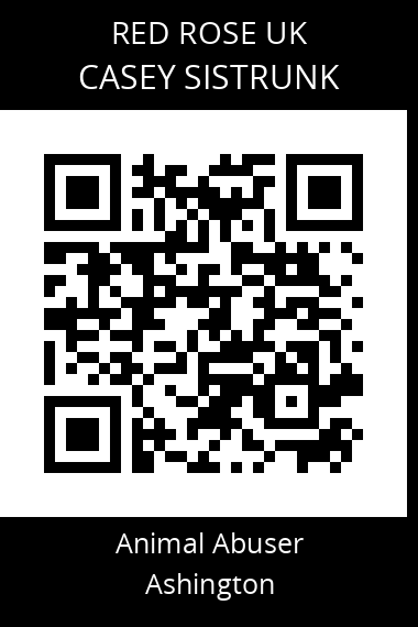 QR code for Casey-Sistrunk