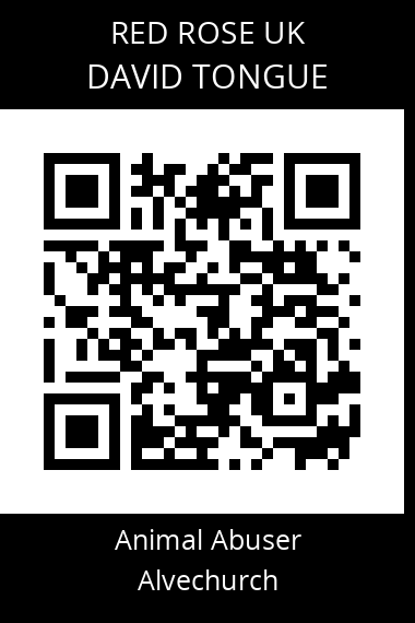 QR code for David-tongue