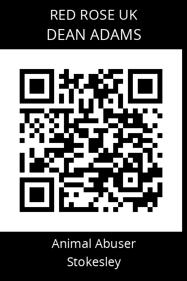 QR code for Dean-Adams-3