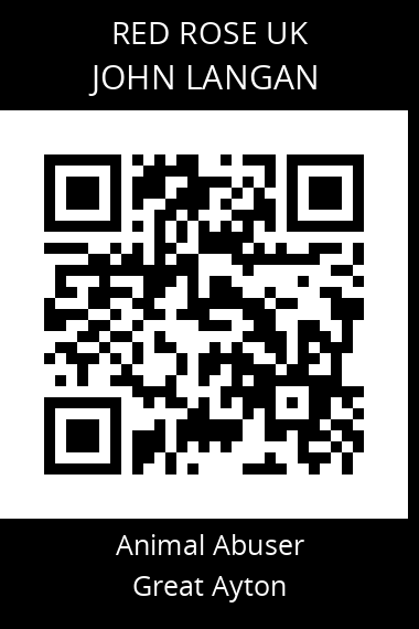 QR code for John-Langan-3