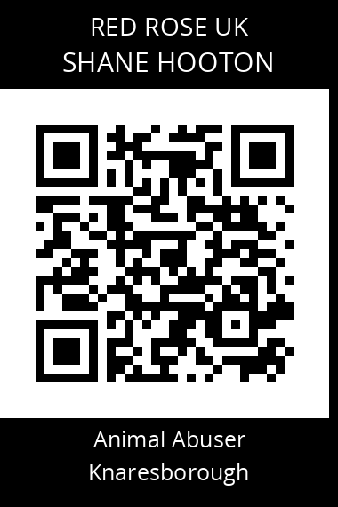 QR code for Shane-hooton-3