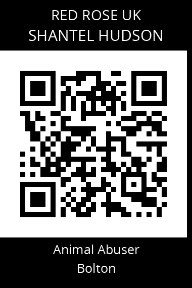 QR code for Shantel-Hudson-1