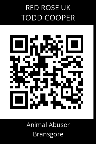 QR code for Todd-cooper1
