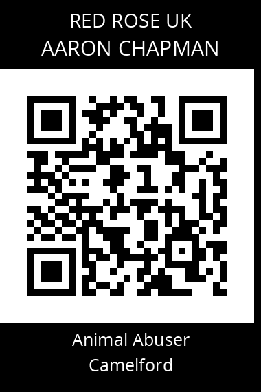QR code for aaron-chapman