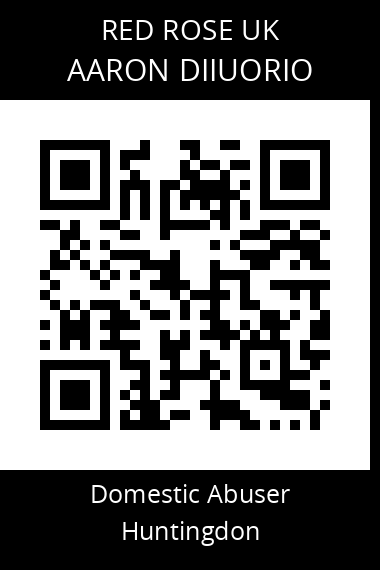 QR code for aaron-diiuorio