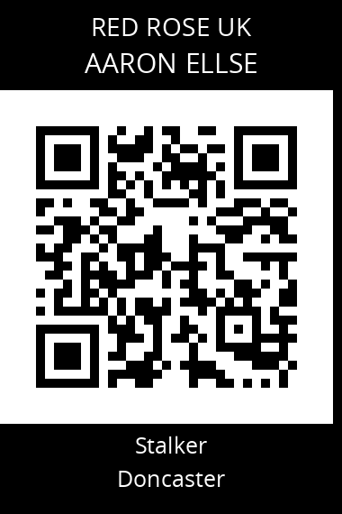 QR code for aaron-ellse