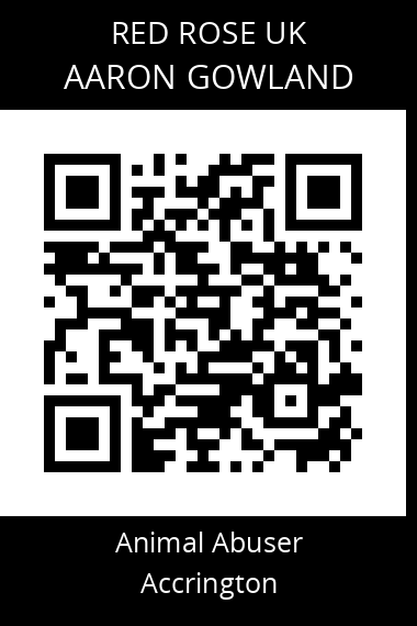 QR code for aaron-gowland