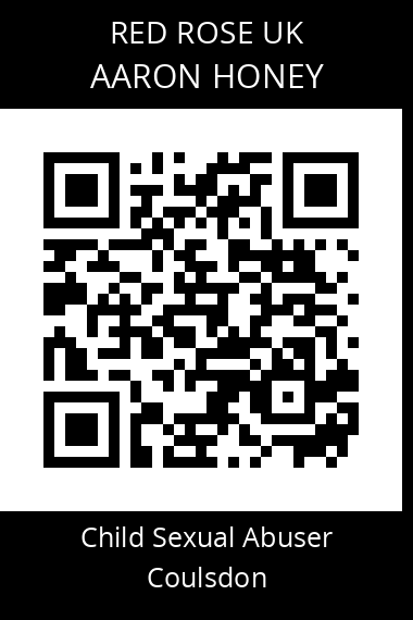 QR code for aaron-honey
