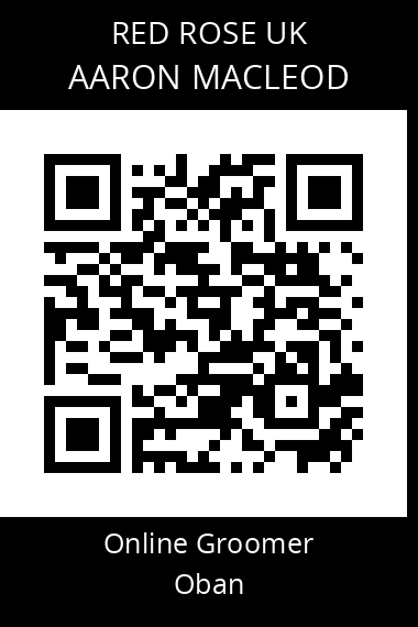 QR code for aaron-macleod-2