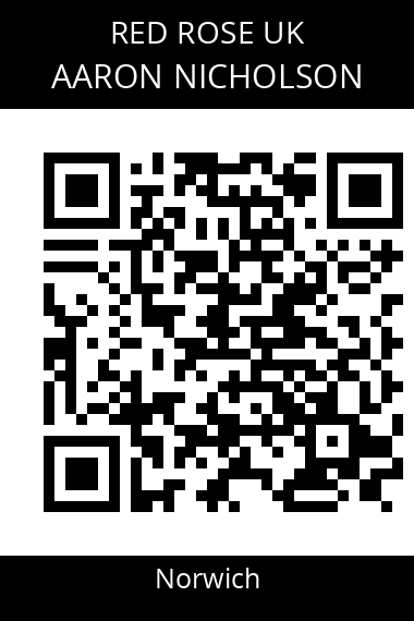 QR code for aaron-nicholson-eopkuv