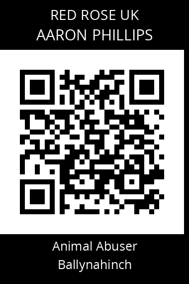 QR code for aaron-phillips