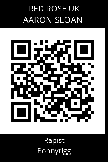 QR code for aaron-sloan-2
