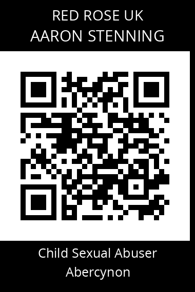 QR code for aaron-stenning