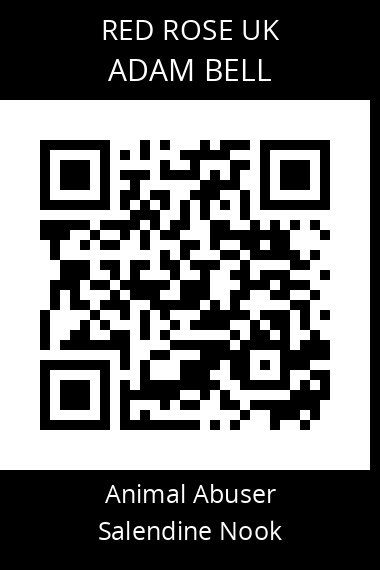 QR code for adam-bell-1