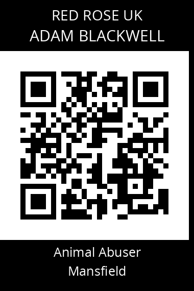 QR code for adam-blackwell
