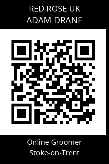 QR code for adam-drane
