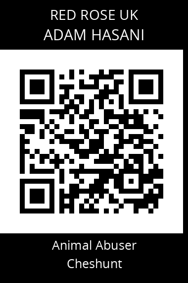 QR code for adam-hasani
