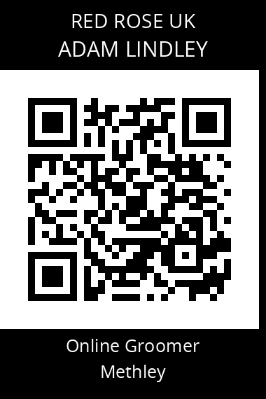QR code for adam-lindley