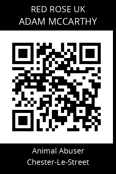 QR code for adam-mccarthy