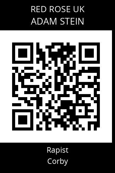 QR code for adam-stein