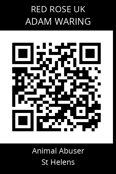 QR code for adam-waring