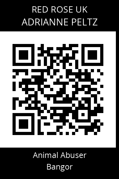 QR code for adrianne-peltz
