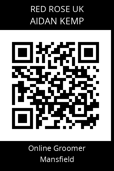 QR code for aidan-kemp