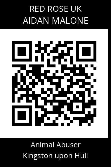 QR code for aidan-malone