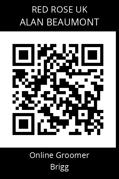 QR code for alan-beaumont
