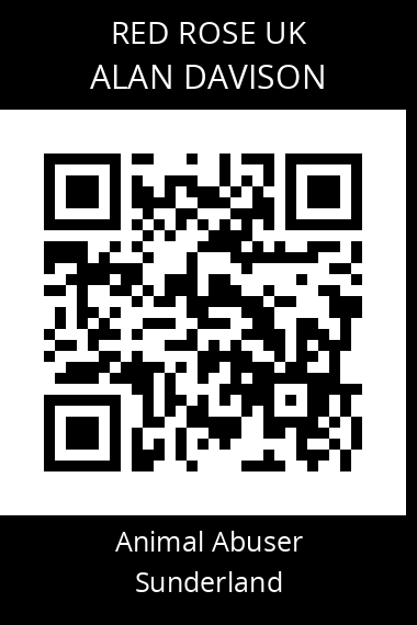 QR code for alan-davison