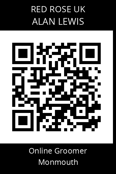QR code for alan-lewis