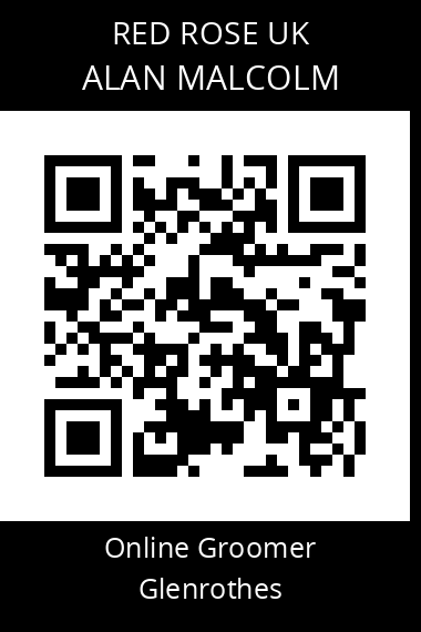 QR code for alan-malcolm