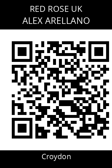 QR code for alex-arellano-n55dtx