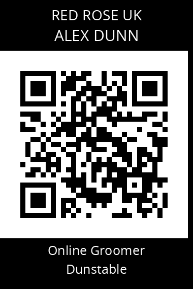 QR code for alex-dunn-2