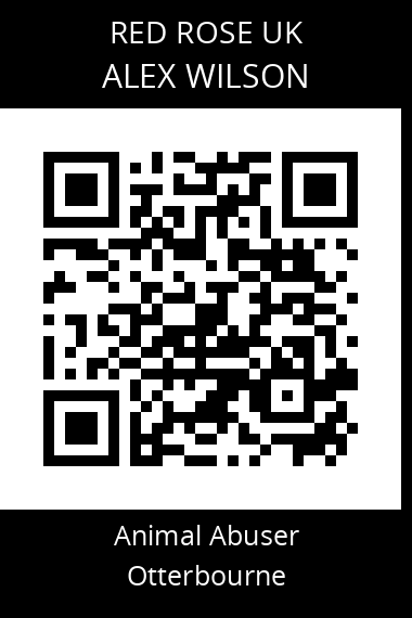 QR code for alex-wilson-1