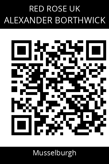QR code for alexander-borthwick