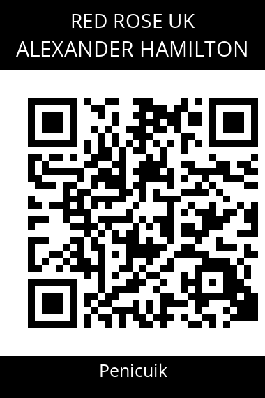 QR code for alexander-hamilton-3