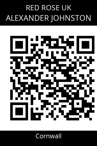 QR code for alexander-johnston-1