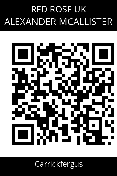 QR code for alexander-mcallister