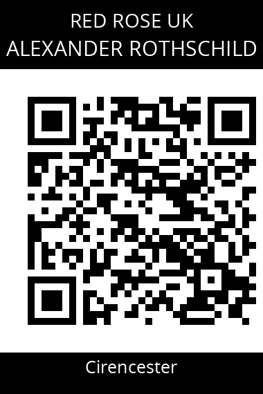 QR code for alexander-rothschild