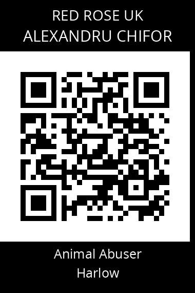 QR code for alexandru-chifor