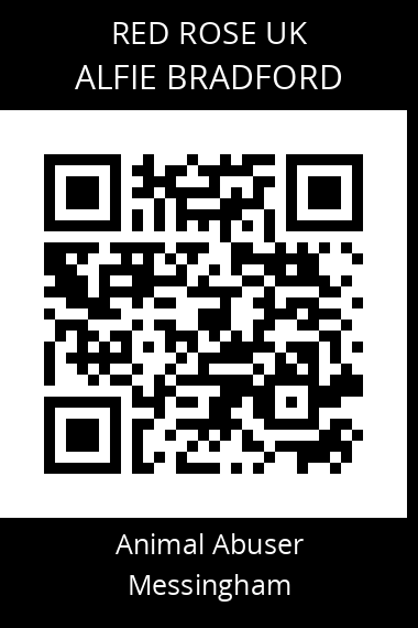 QR code for alfie-bradford