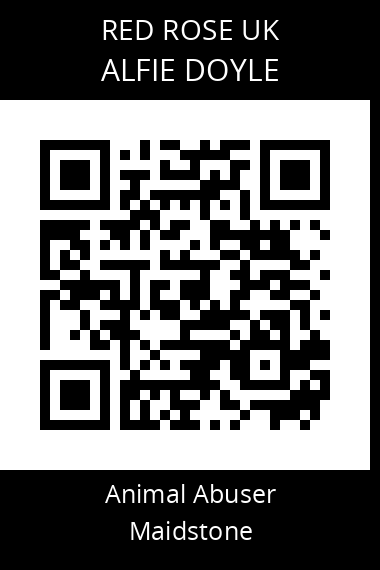 QR code for alfie-doyle