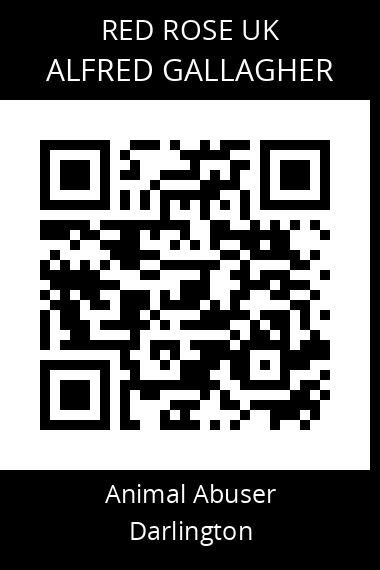 QR code for alfred-gallagher