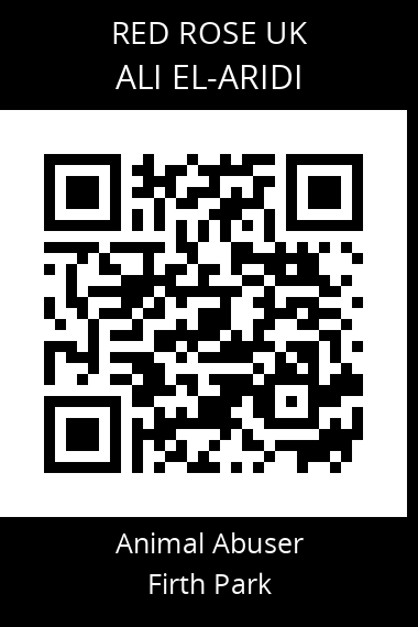 QR code for ali-el-aridi