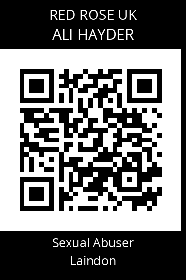 QR code for ali-hayder