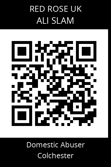 QR code for ali-slam