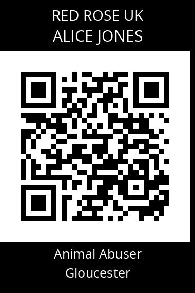 QR code for alice-jones