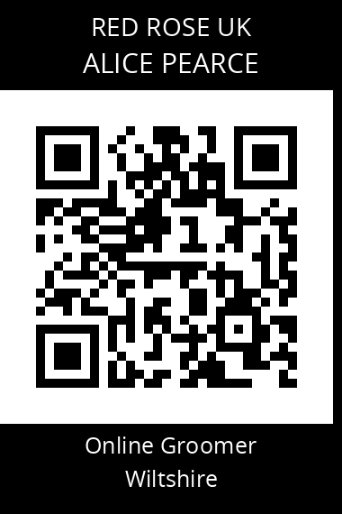 QR code for alice-pearce