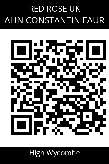 QR code for alin-constantin-faur